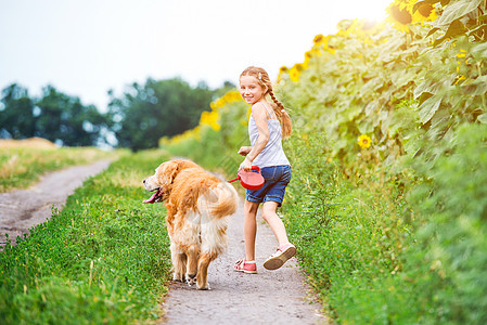 带金色寻金器的小女孩宠物女性生活头发欢呼猎犬友谊草地幸福场地图片