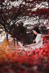 在公园使用笔记本电脑的美女日落女孩花园森林树叶学生叶子女士互联网微笑图片