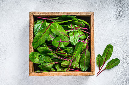 原始新鲜绿色硬金刚树木盒子中的叶子 白背景 顶部视图饮食植物食物蔬菜营养黑色生物红色白色多叶图片
