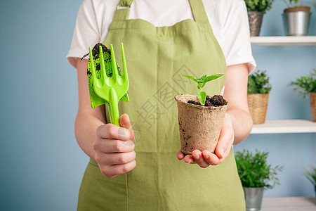 近距离拍到一位女士手掌中握着绿植物的近镜头生长叶子幼苗棕榈土壤女性界面蔬菜农民发芽背景