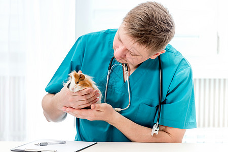 兽医办公室兽医检查动物兽医学检验小白鼠卫生宠物医院手套注意力考试临床治疗医疗保险保健图片