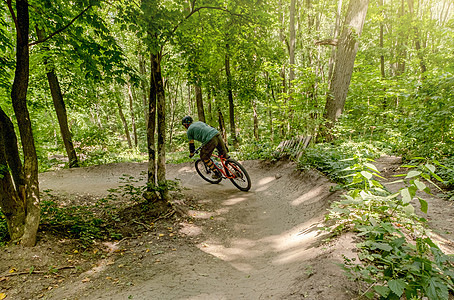 沿森林道路骑自行车的自行车图片