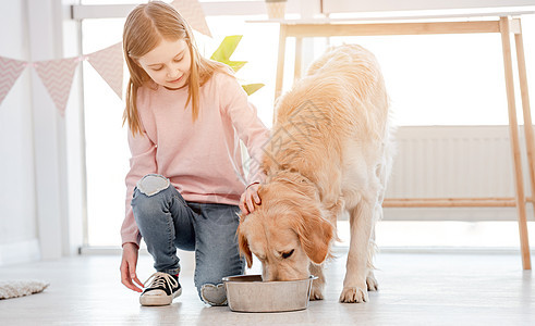 小女孩喂养金色猎犬狗闲暇亲热宠物童年女孩快乐朋友家庭女性女儿图片