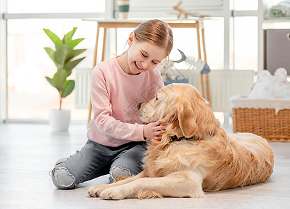 小女孩 带着金色猎犬闲暇亲热快乐宠物女孩女儿童年窗户动物朋友背景