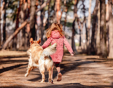 小女孩 有金色猎犬在木头童年跑步犬类幸福孩子粉色小路女性公园动物图片