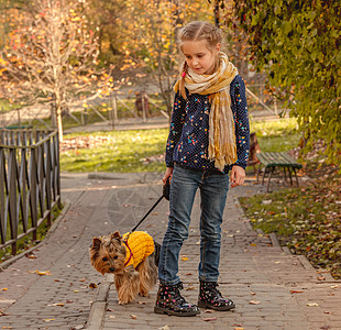 秋天女孩和狗女孩与日方梯田一起行走小狗树叶动物孩子友谊宠物朋友喜悦公园微笑背景