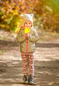 秋天森林中的小女孩喜悦乐趣女孩幸福黑发夹克快乐季节童年叶子图片