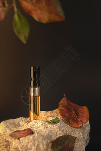 香水样本站在一块有苹果叶的石头上 秋季香水概念香气护理琥珀色芳香香味测试员奢华广告玻璃作品图片