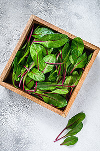 原始新鲜绿色硬金刚树木盒子中的叶子 白背景 顶部视图蔬菜黑色白色沙拉农业红色营养花园草本植物食物图片