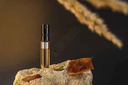 香水样本站在一块石头上 上面有苹果叶和棕榈草 甘蓝香水图片