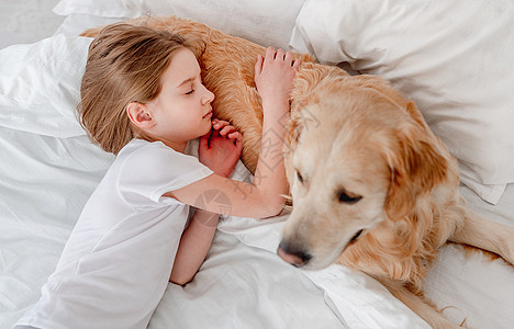 床上有金色寻金狗的女孩朋友睡觉女性童年犬类哺乳动物猎犬动物宠物微笑图片