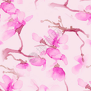 樱花水彩 粉红樱桃树 惠特图片