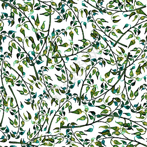 无缝叶状水彩装饰绿色科罗拉多艺术叶子桂冠框架树叶装饰品绿色植物绿色织物叶状图片