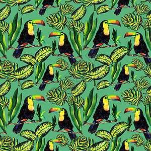 叶龟背竹和 Touca 的无缝模式情调艺术创造力绘画枝条纺织品棕榈墙纸叶子织物图片