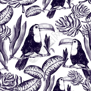 叶龟背竹和 Touca 的无缝模式墙纸纺织品情调插图绘画织物水彩天堂棕榈装饰品图片