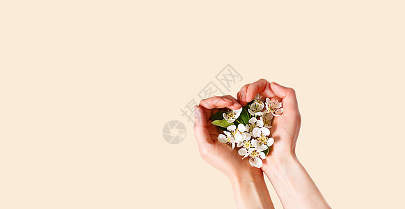女性手握着心形的棕榈和白苹果花 放在香槟粉红色背景上;春时 爱 温柔 护肤 天然化妆品 Banner 文字空间图片