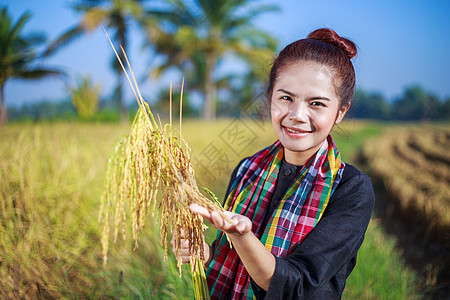 田间拥有大米的农民妇女生产文化农业微笑女士收成稻田场地金子种子图片