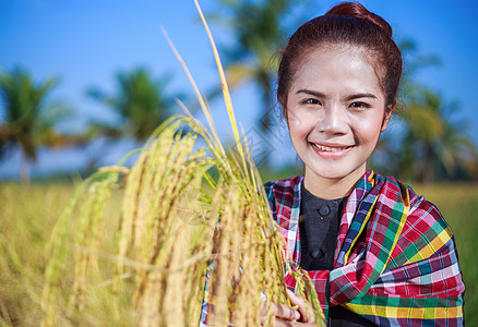 田间拥有大米的农民妇女空气女士收成场地生产植物农业稻田谷物食物图片