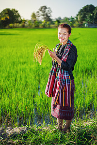 田间拥有大米的农民妇女谷物空气微笑国家文化稻田女士园丁收成农业图片