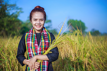 田间拥有大米的农民妇女金子稻田农业食物国家生产空气植物女性女士图片