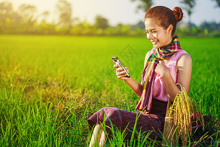 在稻田里使用智能电话的农民妇女技术工作手机商业农村女士女性收成互联网农场图片