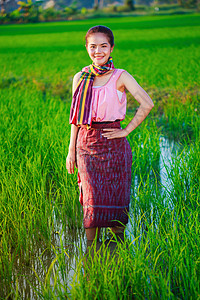 绿稻田中美丽的农妇提交金子国家农田谷物空气食物女性日落生产文化图片