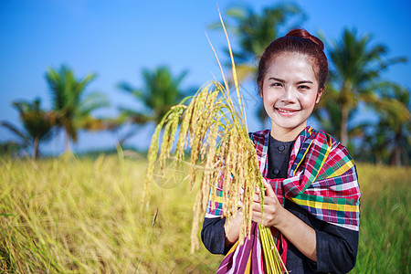 田间拥有大米的农民妇女空气生产日落文化女士种子微笑女性植物谷物图片