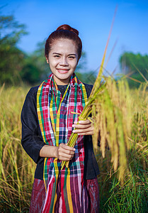 田间拥有大米的农民妇女收成文化种子日落金子食物场地女士空气农业图片