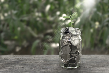 将泰铢硬币保存在木桌上的瓶子杯中 过滤效应使绿色风格倒退 货币储蓄概念现金商业玻璃订金薪水利润基金推杆财富经济图片