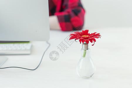 带有Gerbera花花和计算机的工作场所 背景上设计师的家用办公室最小化屏幕电脑房间商业键盘监视器网络植物互联网装饰图片