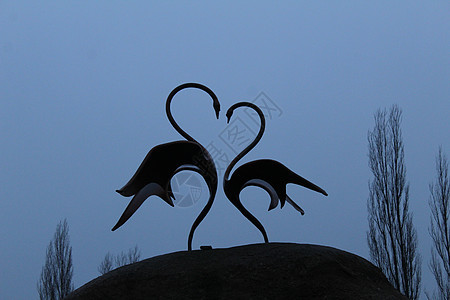 两只天鹅站在一颗心形的石头上 母亲节卡片 情人节情人节图片