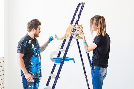 人 宠物 翻新和修理概念一对可爱夫妇的肖像 猫咪在公寓里重新装饰女孩动物配件墙纸夫妻牛仔裤辛劳梯子男人工作背景