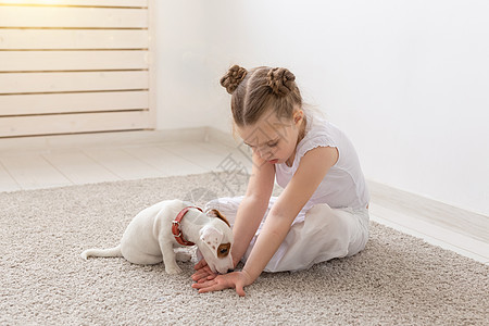 人 宠物和动物概念  小女孩坐在白色背景的地板上 抱着小狗杰克罗素梗犬犬类幸福猎犬黑发友谊地面运动鞋乐趣婴儿孩子图片
