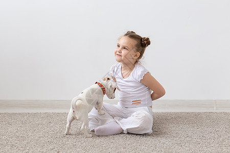 宠物主人 孩子和狗的概念  小女孩和可爱的杰克罗素梗小狗坐在地板上玩耍良种公寓猎犬压板毛皮朋友动物鼻子猎人青少年图片