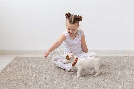 宠物 儿童和动物概念  可爱的小女孩和有趣的小狗玩得开心白色黑发地面友谊工作室猎犬犬类幸福乐趣灰色图片