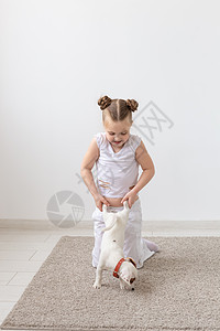 宠物 儿童和动物概念  可爱的小女孩和有趣的小狗玩得开心工作室灰色乐趣友谊白色幸福衬衫猎犬地面犬类图片