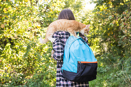 宠物远足 旅游和自然概念 — 背着背包 猫站在森林背景上的年轻女性旅行者背景