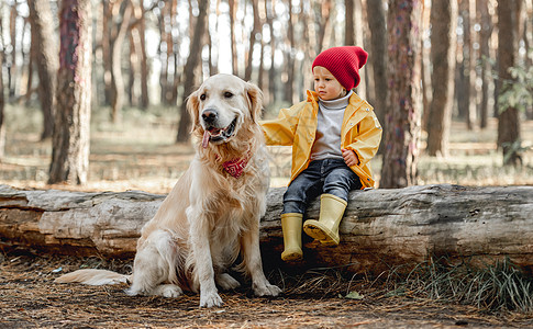小女孩在森林里养着金色猎犬女孩公园幸福快乐冒险森林叶子勘探童年闲暇图片