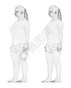 肥胖和瘦瘦的女人 在体重丧失前后草图营养尺寸卡通片训练女孩运动损失门廊腹部图片
