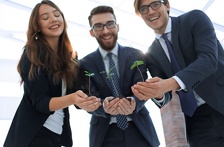 商业团队展示了新鲜的春芽环境男人生长生态知识人士进步幼苗植物生活图片