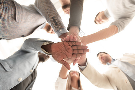 生意团队把双手折叠在一起了同事女性组织公司手势蓝图会议圆圈社区商业图片