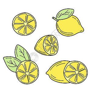 矢量手绘制柠檬 热带水果 草纸 面条 夏季设计墨水草图叶子异国菜单手绘食物情调插图饮食图片