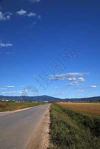 带我回乡间公路晴天旅行农作物谷仓草地收成粉末地平线生长蓝色图片