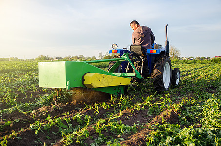 农民用挖掘机挖出一批土豆 在早春收获第一批土豆 农业和农田 发展中国家的收获机械化 农业工业和农业综合企业图片