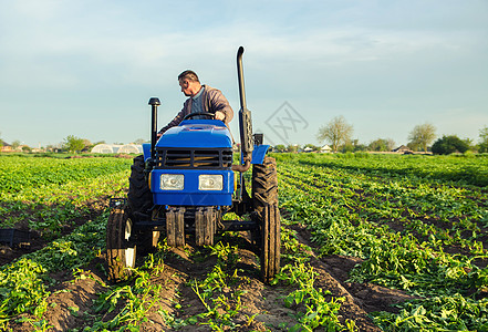 一位农民开着拖拉机穿过田地收割土豆 在早春收获第一批土豆 农业和农田 农业工业和农业综合企业 支持农场 收获图片