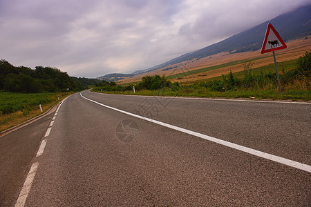 穿越绿地的道路路线速度沥青旅行交通草地日出风景场地晴天图片