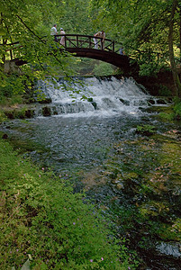 木制的带小瀑布国家路线溪流娱乐树叶生态生长格式小路想像力图片