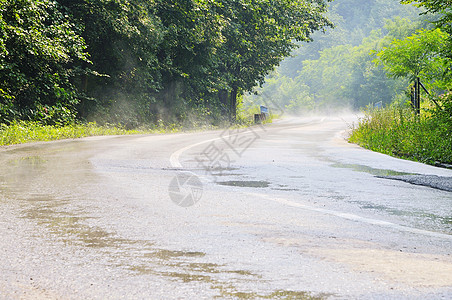 绿林中的国与国之间的道路土地孤独晴天太阳森林场景树木蓝色小路风景图片