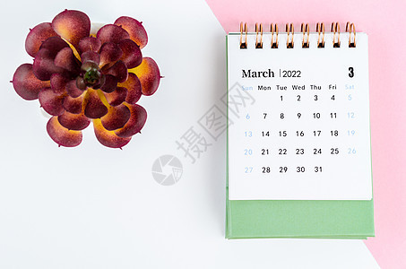 2022年3月的书桌日历和树锅网格桌子办公室议程空白商业英语台历公司日记图片