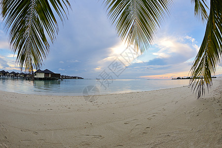 热带热带海滩海洋晴天地平线天空放松脚印阳光海岸太阳季节图片